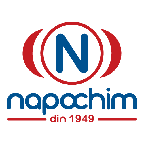 Napochim Logo PNG SVG Vector Napochim Logo PNG SVG Vector