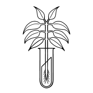 New York Botanics LLC Logo PNG SVG Vector