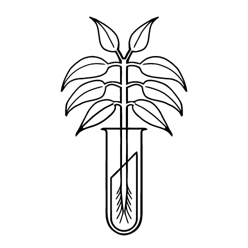 New York Botanics LLC Logo PNG SVG Vector New York Botanics LLC Logo PNG SVG Vector