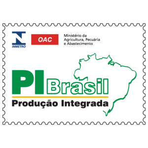 Produçao Integrada logo PNG SVG Vector 01