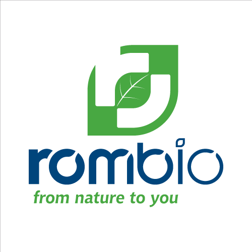 Rombio logo PNG SVG Vector Rombio logo PNG SVG Vector