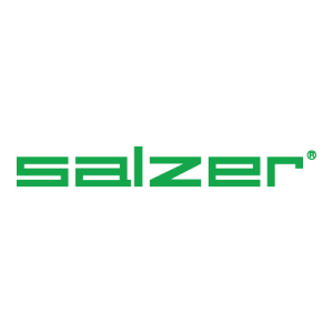 Salzer electric Logo PNG SVG Vector