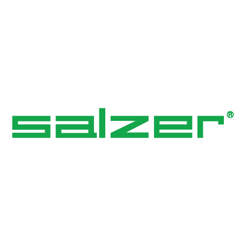 Salzer electric Logo PNG SVG Vector Salzer electric Logo PNG SVG Vector