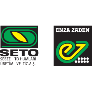 Seto logo PNG SVG Vector