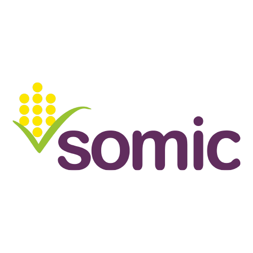 Somic Logo PNG SVG Vector Somic Logo PNG SVG Vector