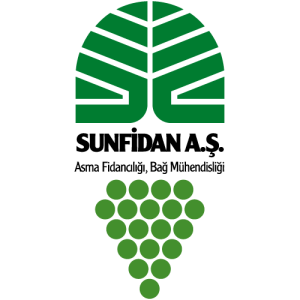 Sun Fidan Logo PNG SVG Vector
