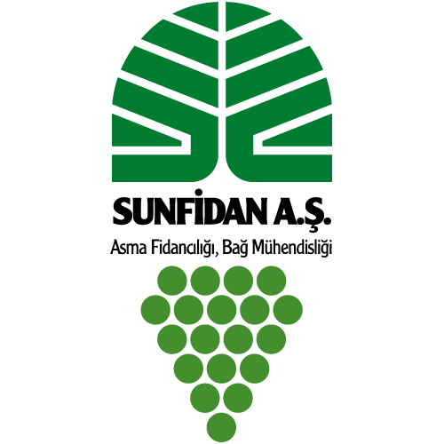 Sun Fidan Logo PNG SVG Vector Sun Fidan Logo PNG SVG Vector