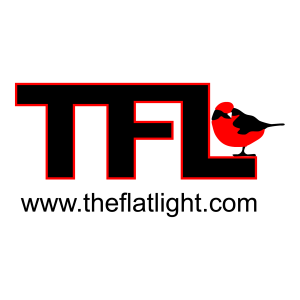 The Flat Light Logo PNG SVG Vector