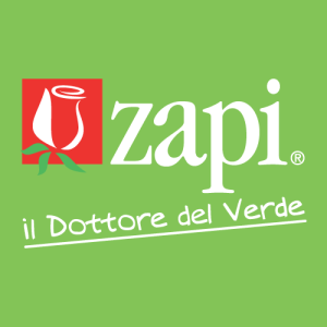 zapi logo PNG SVG Vector