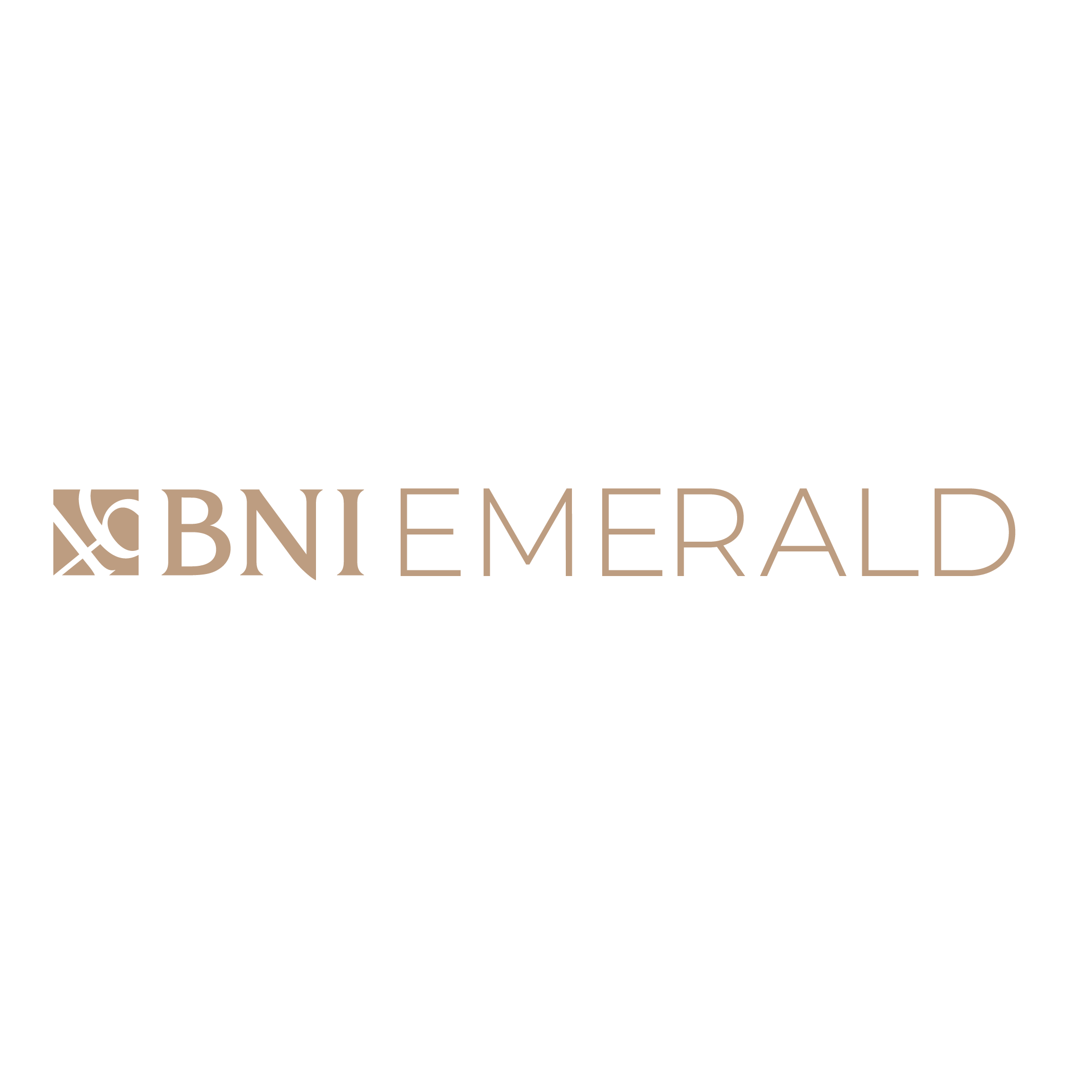 BNI Emerald Logo PNG SVG Vector BNI Emerald Logo PNG SVG Vector