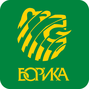 BORIKA Logo PNG SVG Vector