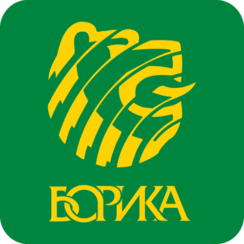 BORIKA Logo PNG SVG Vector BORIKA Logo PNG SVG Vector
