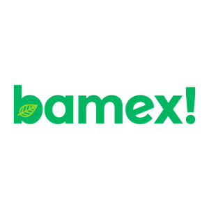 Bamex Logo PNG SVG Vector 01