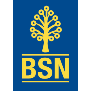 Bank Simpanan Nasional (BSN) Logo PNG SVG Vector