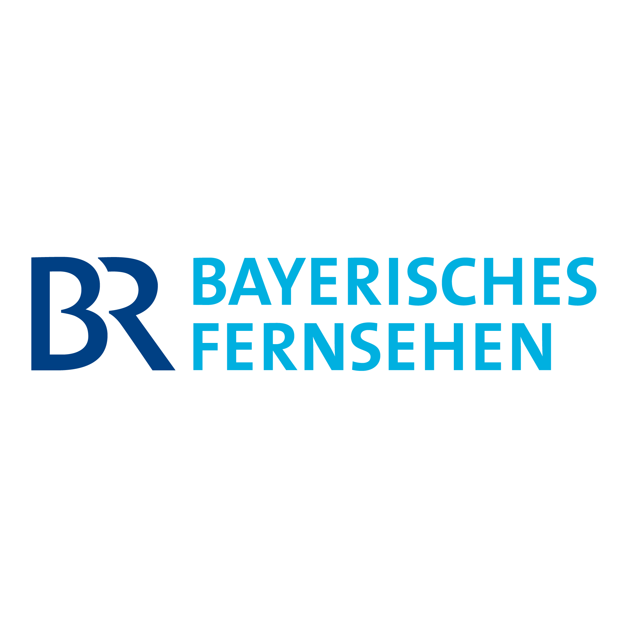 Bayerisches Fernsehen as of 2007 Logo PNG SVG Vector Bayerisches Fernsehen as of 2007 Logo PNG SVG Vector