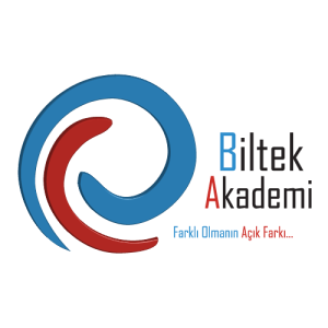 Biltek Akademi Logo PNG SVG Vector
