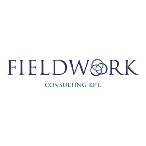 Fieldwork Consulting Kft Logo PNG SVG Vector