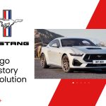 Ford Mustangs Thumbnail