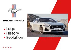 Ford Mustangs Thumbnail