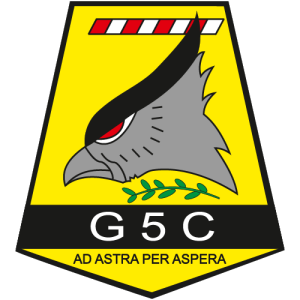 Grupo 5 de Caza logo PNG SVG Vector