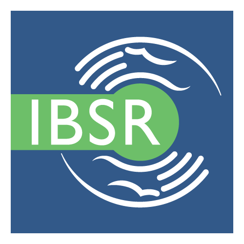 IBSR logo PNG SVG Vector IBSR logo PNG SVG Vector