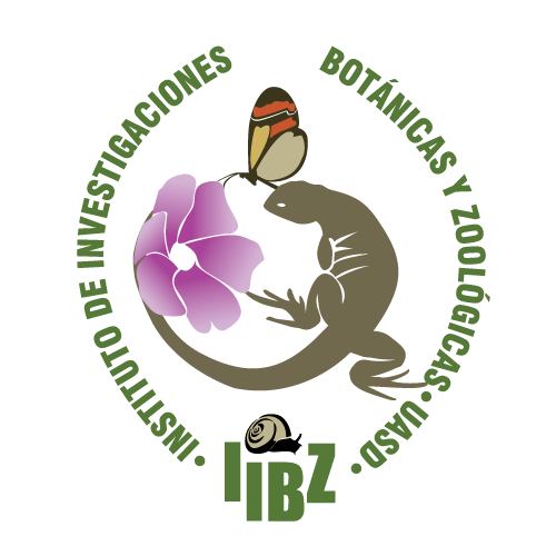 IIBZ Logo PNG SVG Vector IIBZ Logo PNG SVG Vector