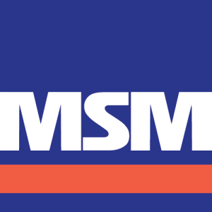 MSM Group LLC Logo PNG SVG Vector
