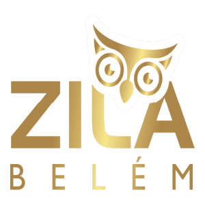 Minimalista da Escola Zila Belem Logo PNG SVG Vector