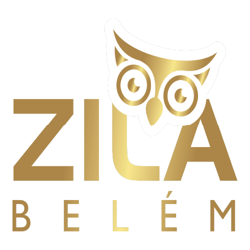 Minimalista da Escola Zila Belem Logo PNG SVG Vector Minimalista da Escola Zila Belem Logo PNG SVG Vector