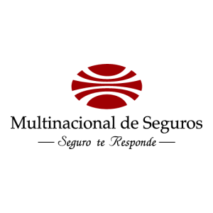 Multinacional de Seguros Logo PNG SVG Vector