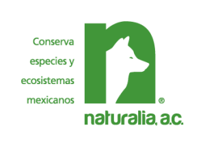 Naturalia Logo PNG SVG Vector
