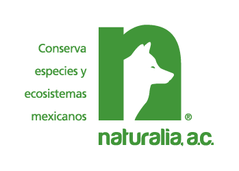 Naturalia Logo PNG SVG Vector Naturalia Logo PNG SVG Vector