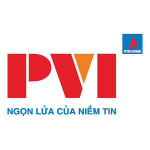 PVI Logo PNG SVG Vector