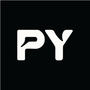 PoYo Ai Logo PNG SVG Vector