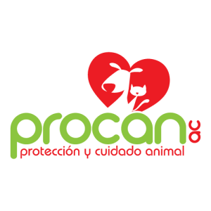 Procan ac Logo PNG SVG Vector