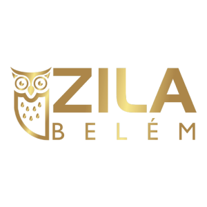 Simplificada da Escola Zila Belem Text Logo PNG SVG Vector