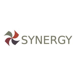 Synergy Financial Group Logo PNG SVG Vector