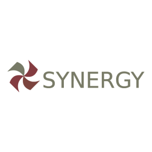 Synergy Financial Group Logo PNG SVG Vector