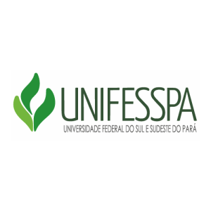 Universidade Federal do Sul e Sudeste Logo PNG SVG Vector
