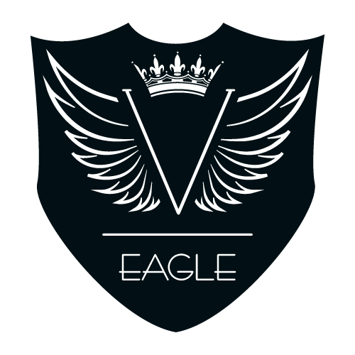 V Eagle Logo PNG SVG Vector V Eagle Logo PNG SVG Vector