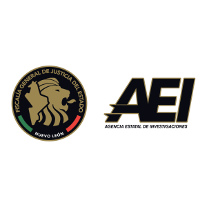 AEI Nuevo Leon Logo PNG SVG Vector
