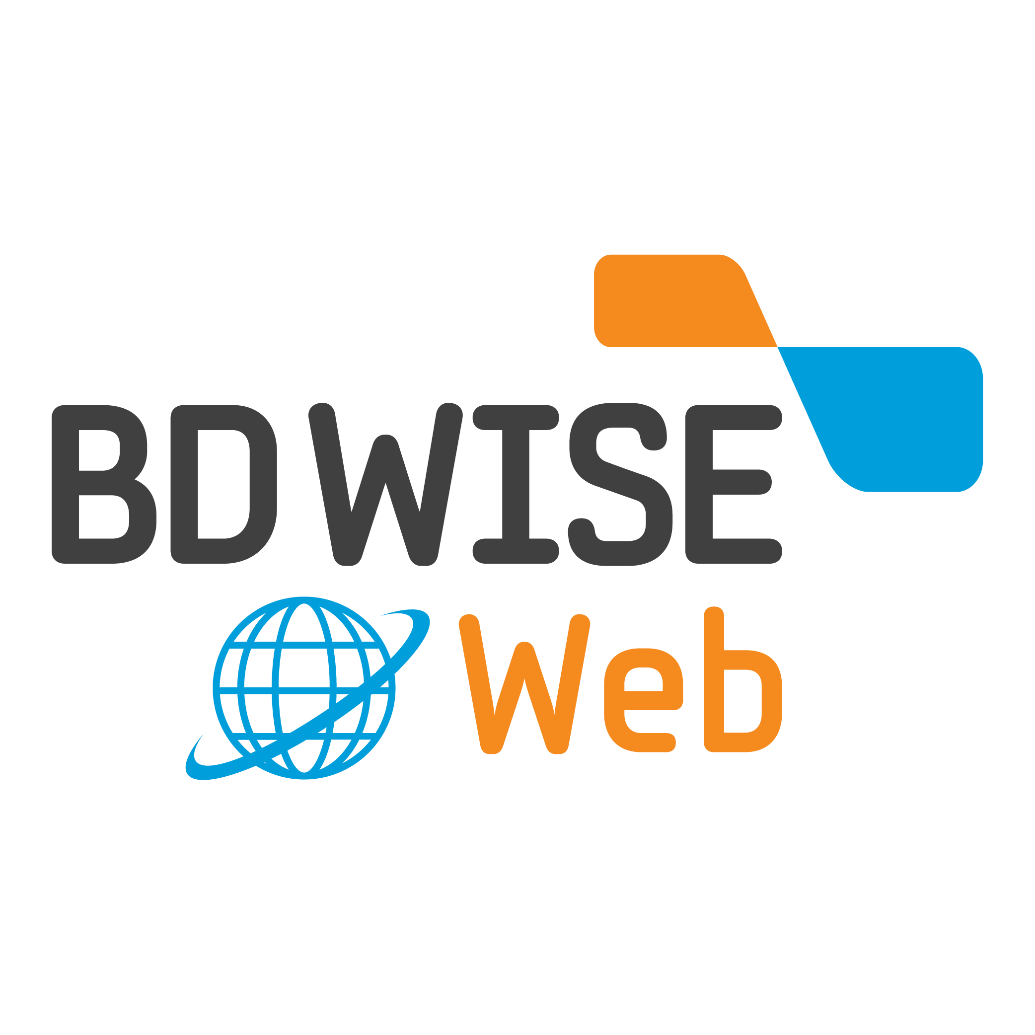 BD WISE Web Logo PNG SVG Vector BD WISE Web Logo PNG SVG Vector