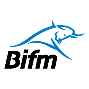 BOTSWANA HOLDINGS LIMITED Logo PNG SVG Vector