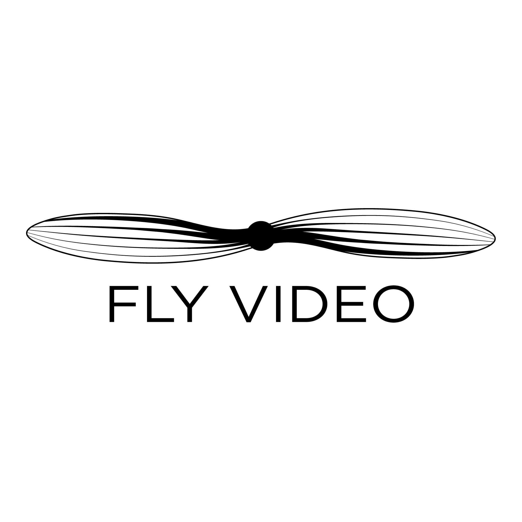 FlyVideo Logo PNG SVG Vector FlyVideo Logo PNG SVG Vector