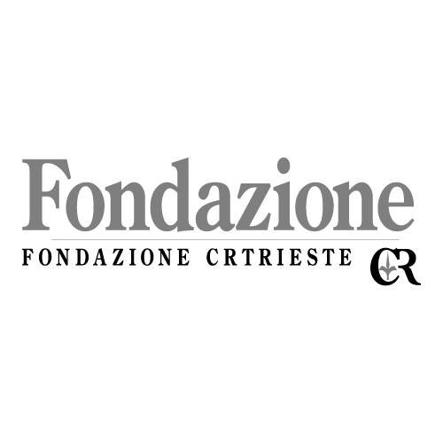 Fondazione Cassa di Risparmio di Trieste Logo PNG SVG Vector Fondazione Cassa di Risparmio di Trieste Logo PNG SVG Vector