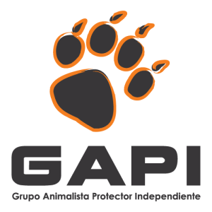 GAPI Logo PNG SVG Vector