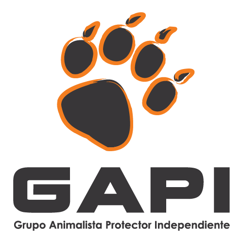 GAPI Logo PNG SVG Vector GAPI Logo PNG SVG Vector