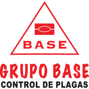 Grupo Base Logo PNG SVG Vector