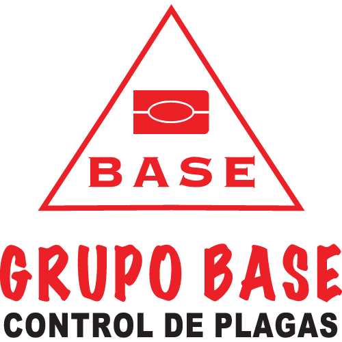Grupo Base Logo PNG SVG Vector Grupo Base Logo PNG SVG Vector