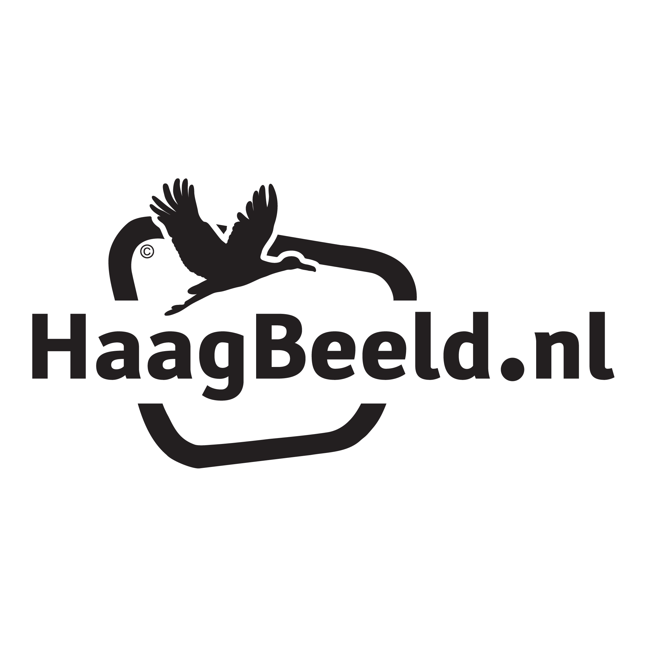Haagbeeld Logo PNG Vector Haagbeeld Logo PNG Vector